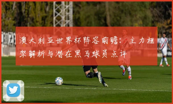 澳大利亚世界杯阵容前瞻:主力框架解析与潜在黑马球员点评