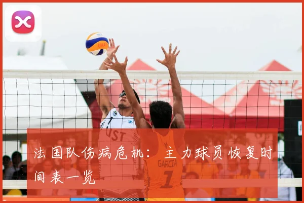 法国队伤病危机:主力球员恢复时间表一览